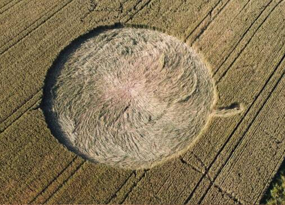 crop circle at Mistelbach | june 16 2024