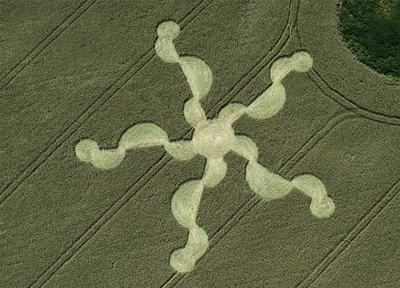 crop circle at Stonehenge | june 30 2024